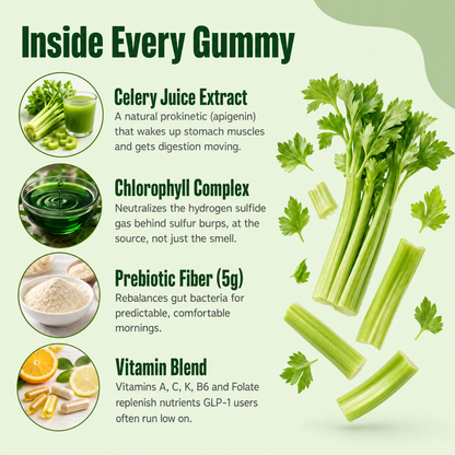 Motilli Digestive Health Gummies